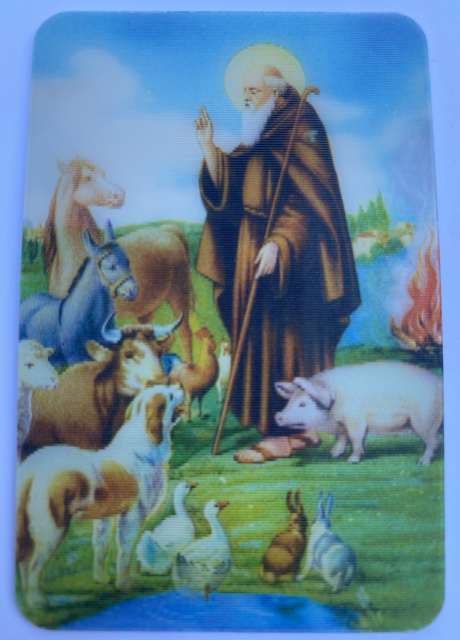 Catholic magnets and bookmarks, inexpensive Catholic holy card artwork ...